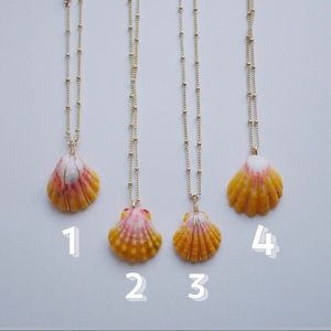 Rare Hawaiian Sunrise Shell Necklace